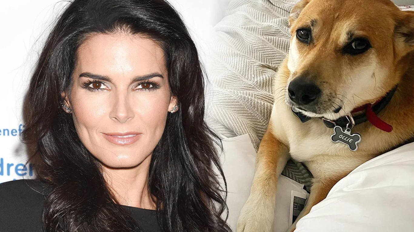 Angie Harmon Sues Instacart and Delivery