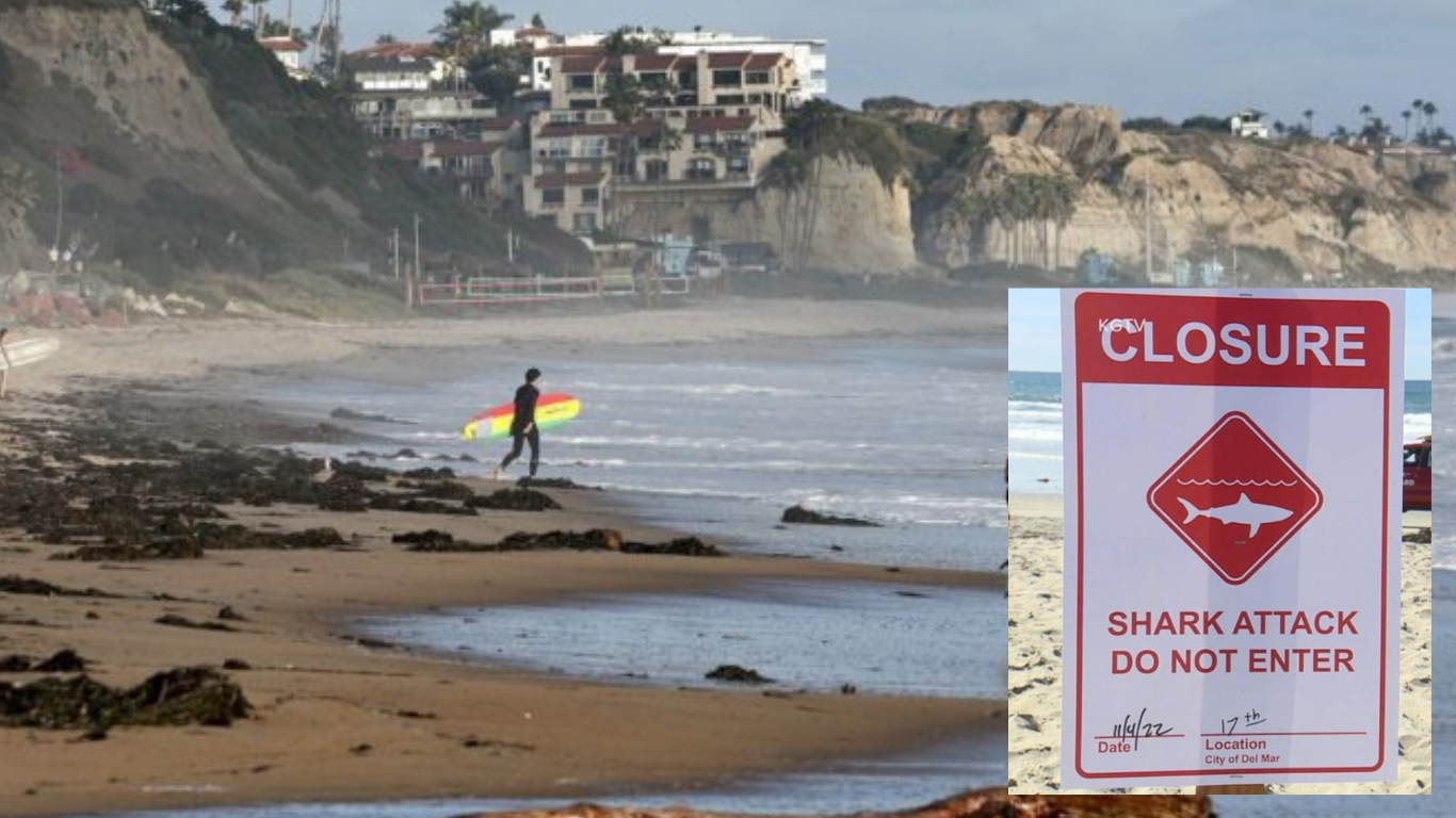 California Beach Closed After Shark Encounter