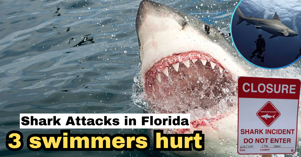 3 swimmers hurt in Shark Attacks in Florida