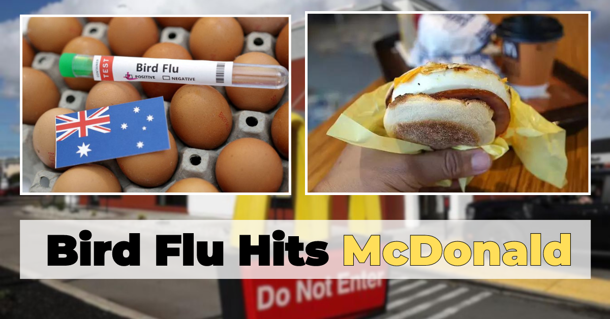 Bird Flu Hits McDonald's Breakfast Ends for Egg-Lovers