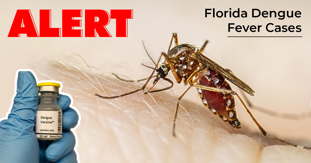 Florida Dengue Fever Cases Prompt Alert in the Florida Keys