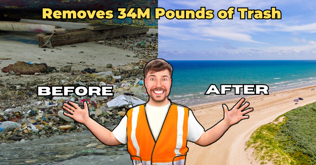 MrBeast's Ocean Cleanup Removes 34M Pounds of Trash