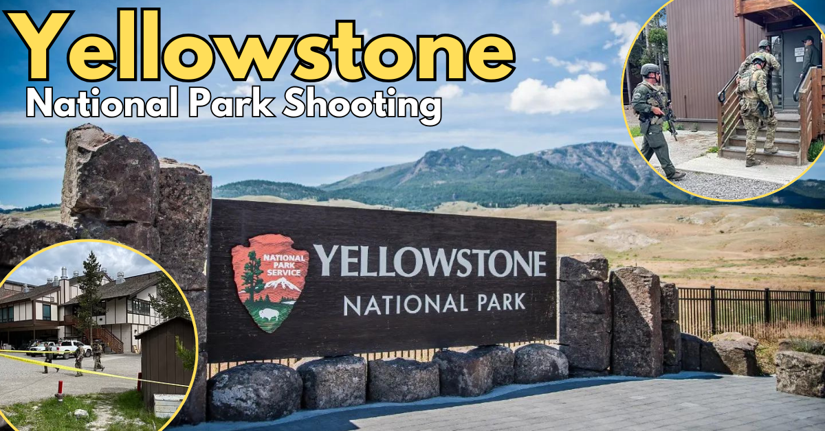 Yellowstone Park Shooting 1 Dead, Park Ranger Injured